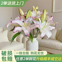 【大聪明卖花】唇彩香水百合 任意两单花材升级顺丰冷链或德邦快递