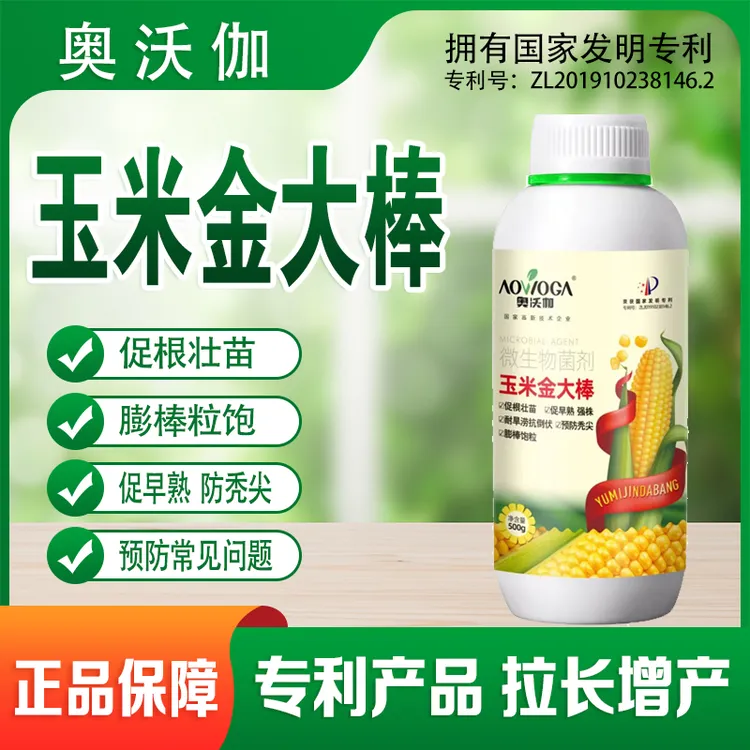 玉米金大棒正版厂家直销玉米一号增产膨大拉长茎秆粗壮抗倒叶面肥