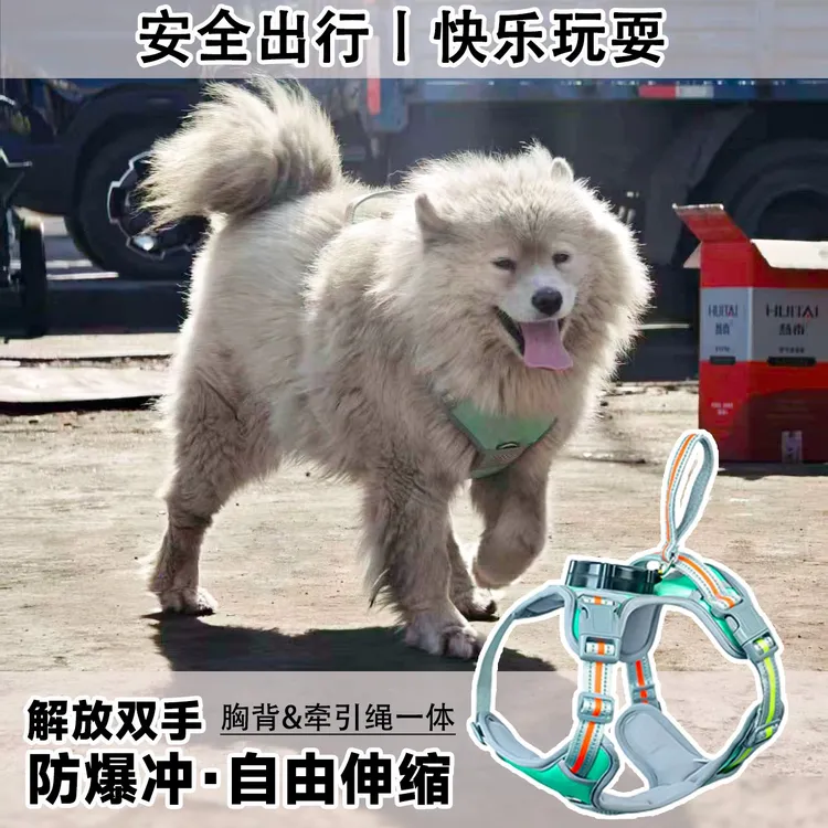 宠物一体式胸背牵引背心防爆冲狗狗牵引绳项圈马甲可伸缩