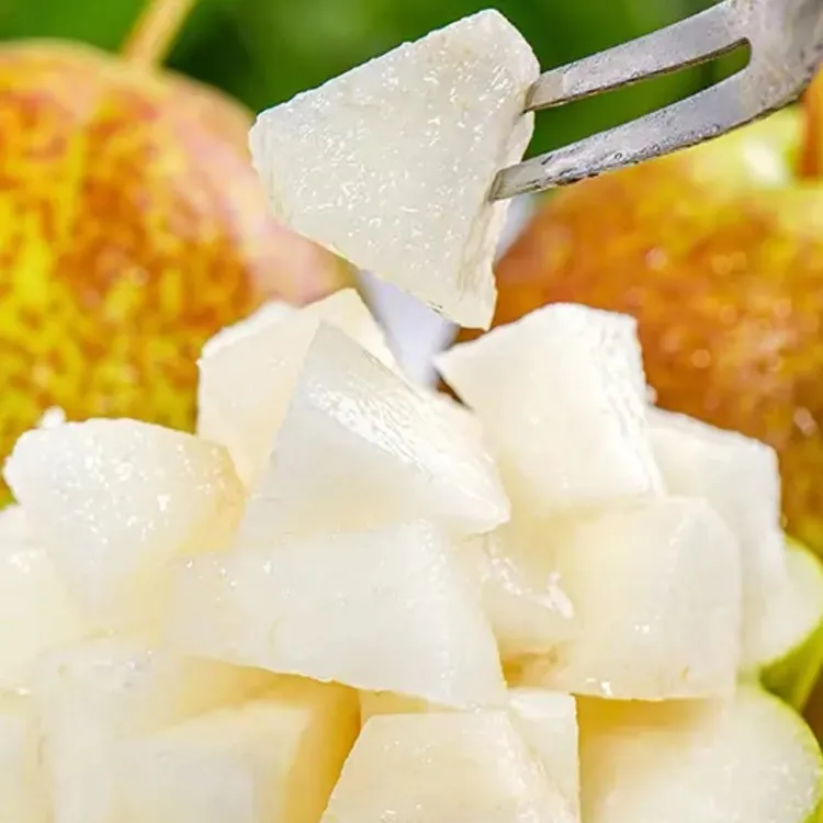 馋嘴甄选玉露香梨新鲜酥脆大果甘甜爽口汁水多口感细腻