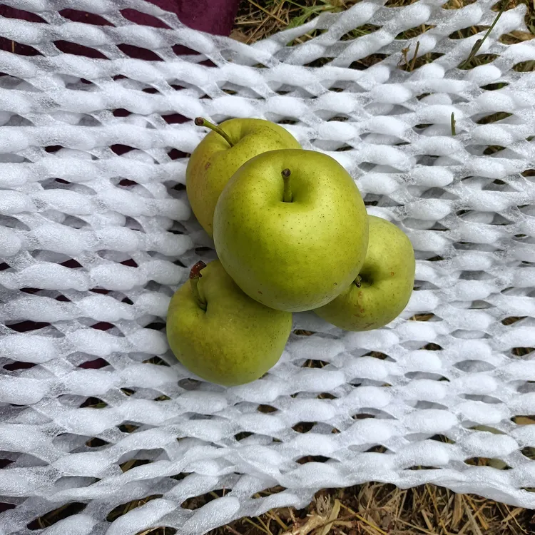 【511224-02】山西隰县玉露香梨皮薄肉厚汁水多清脆可口18棵8斤