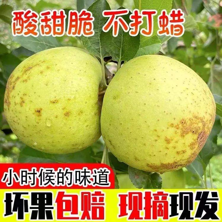 河南正宗黄香蕉苹果黄金帅童年味道水果新鲜酸甜爽口