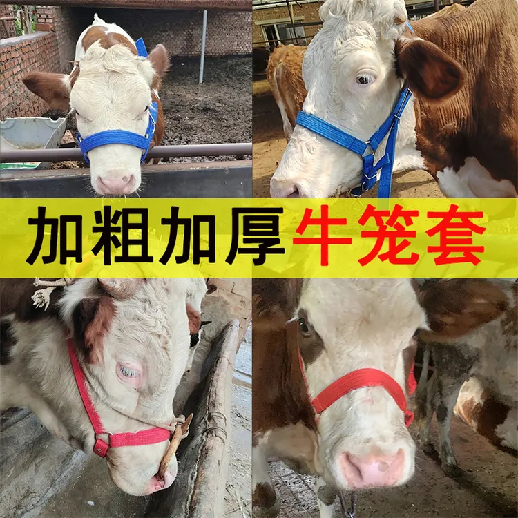 栓牛牛笼套 加厚牛笼头套小牛头套全套可调节牛龙头秃头大牛笼头 