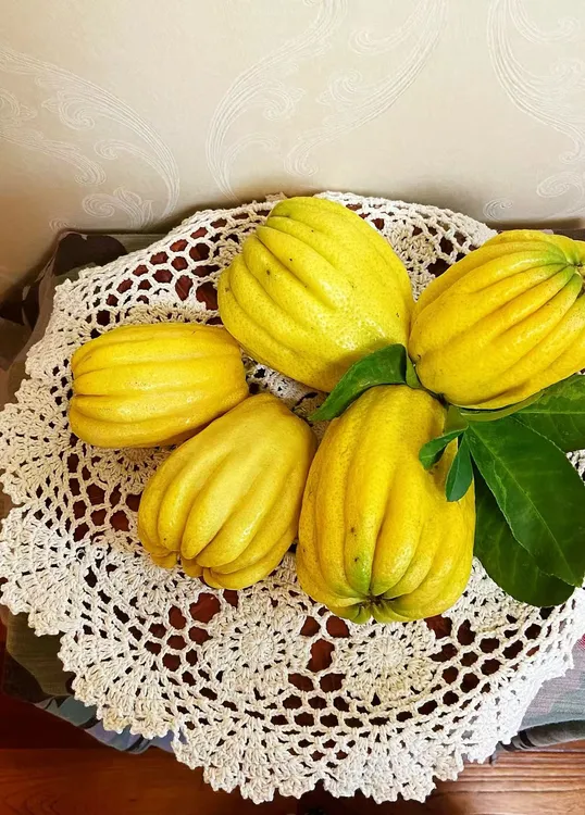 四川佛手柑瑕疵鲜果