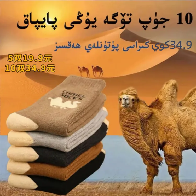  袜子男长筒高邦冬季加厚保暖黄色تۆگە يۇڭى  قىشلىق پايپاق 