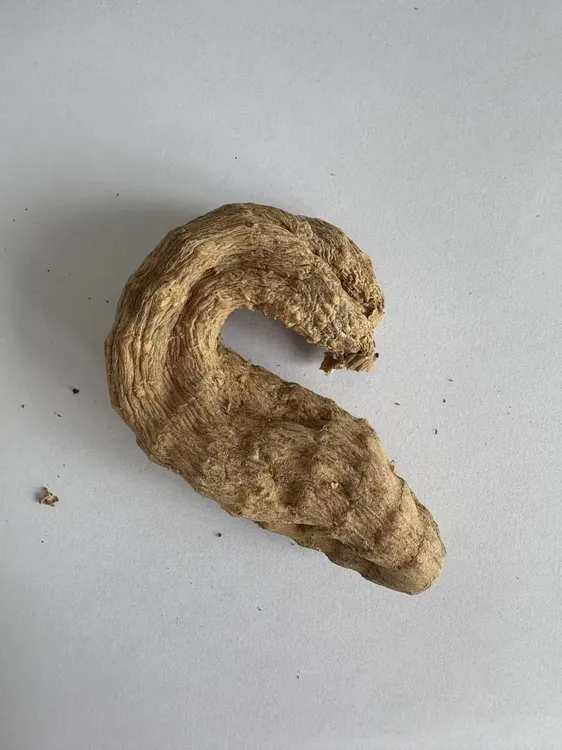 甘肃秦岭父天麻仿野生无硫熏无添加古法晒制泡水煲汤中药材店