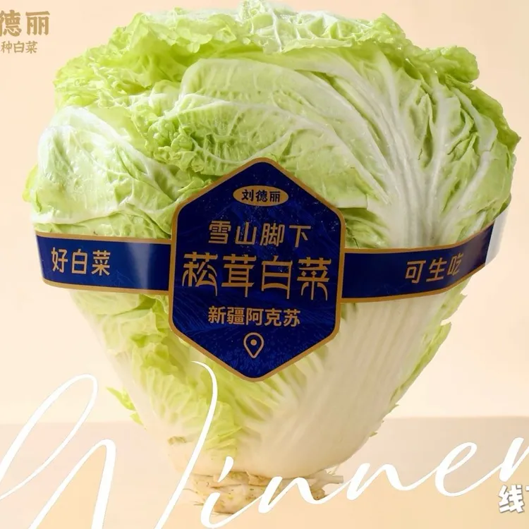 新疆刘德丽菘茸白菜天山水灌溉欧盟SGS533项检测0农残【京东快递】