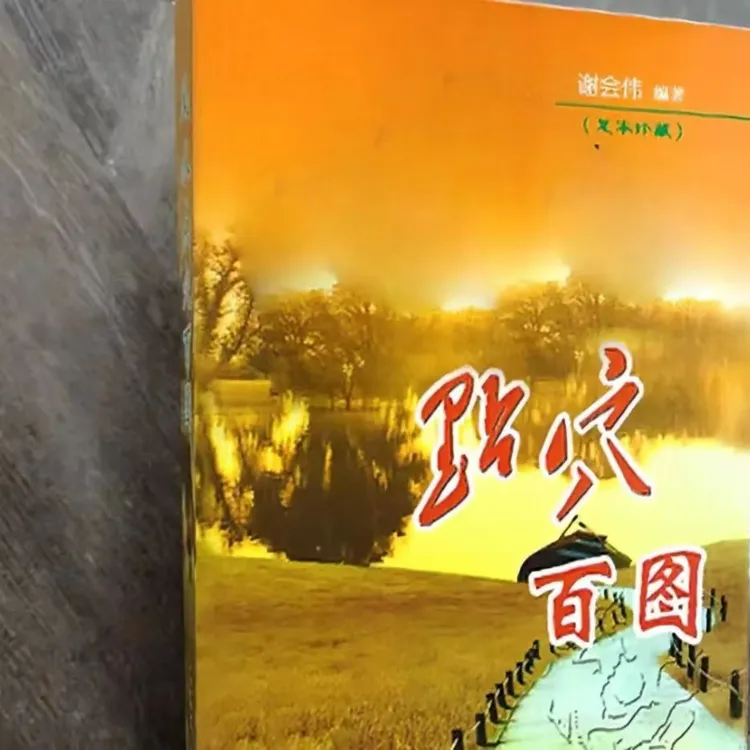 优选推荐好书 点穴百图394页 完整版书籍