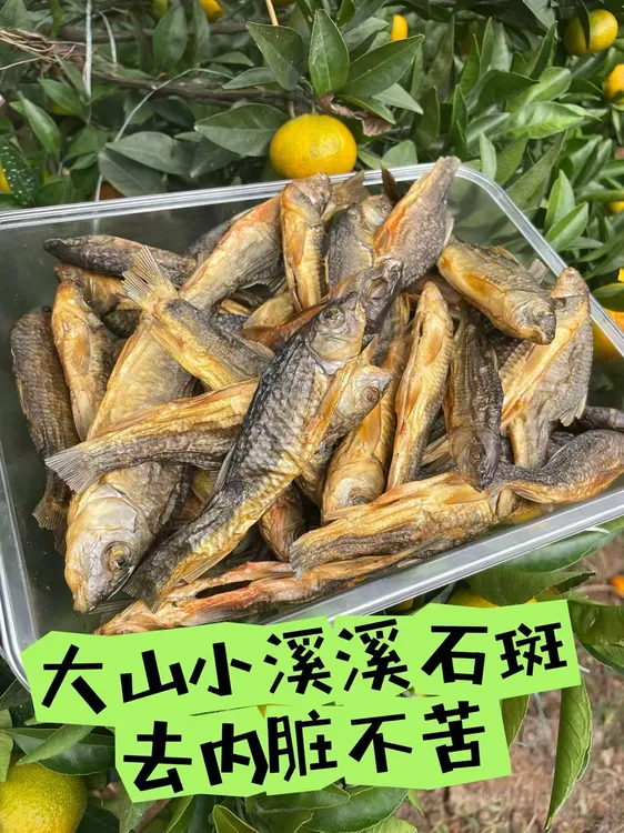 广西桂林小溪小河溪石斑石斑鱼石碗鱼碳烤鱼干小鱼干下酒菜