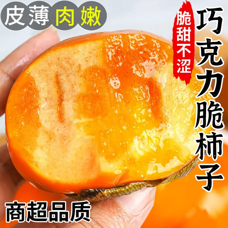正宗山西阳丰巧克力脆柿子纯甜不涩口新鲜采摘应季鲜果