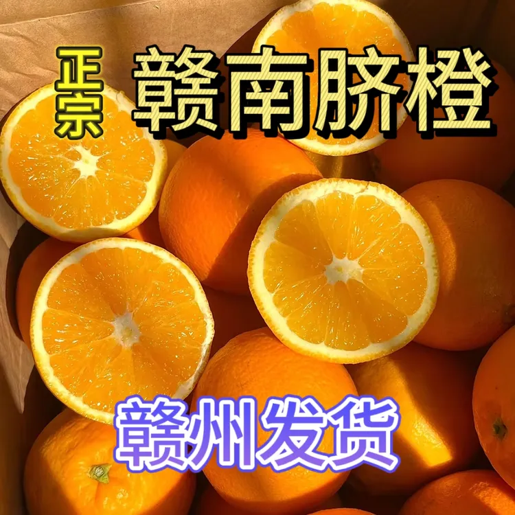 正宗赣南脐橙 新鲜应季水果产地现摘现发产地直发