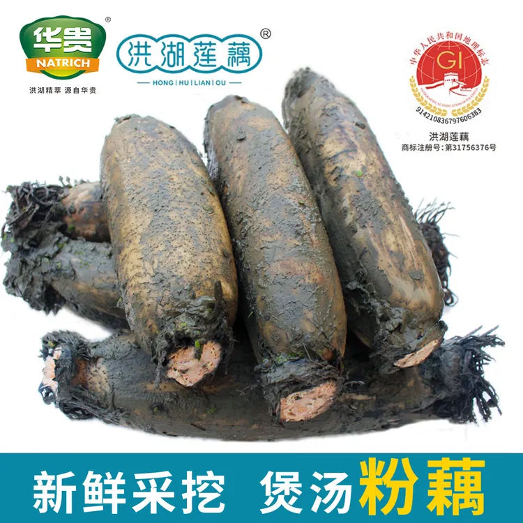 【洪湖粉藕】华贵洪湖正宗莲藕煲汤粉藕三斤/五斤带泥发货湖北特产