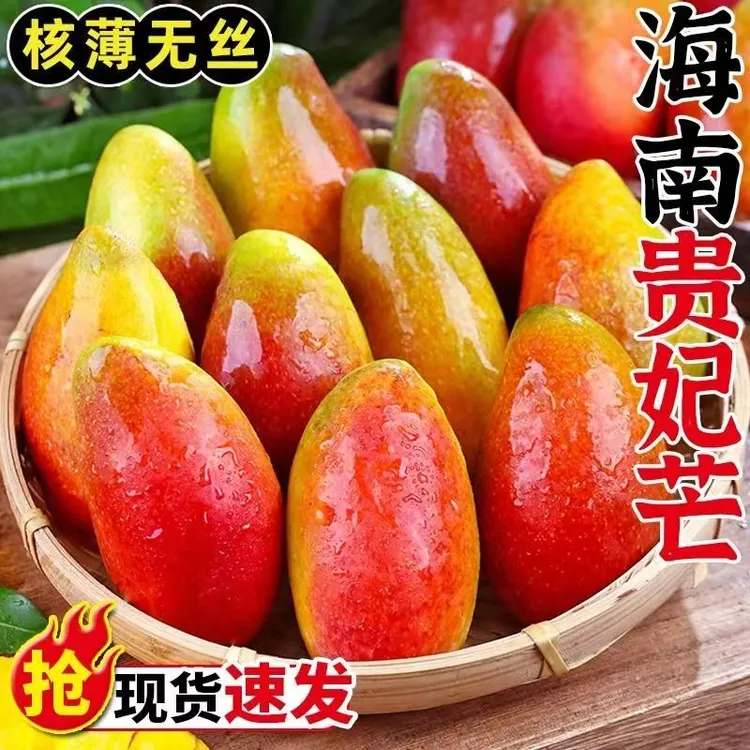 【催熟食用】海南贵妃芒整箱新鲜芒果树上熟红金龙芒甜心芒5-10斤