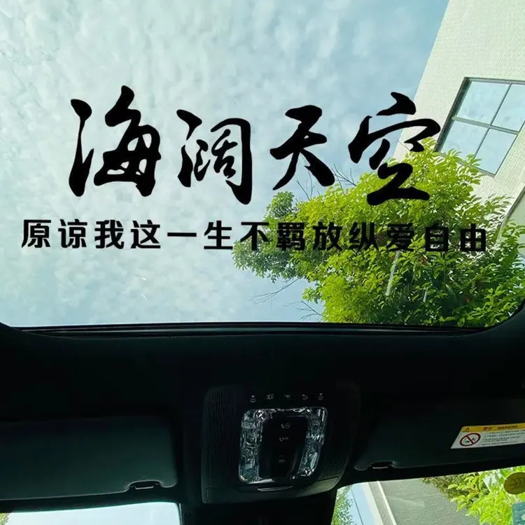 海阔天空个性汽车文字创意装饰贴纸后玻璃贴车门车身天窗文字贴纸
