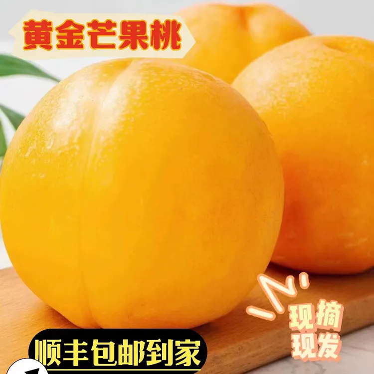  大连黄金芒果桃脆桃老人小孩孕妇应季水果软桃现摘现发甜蜜爆汁