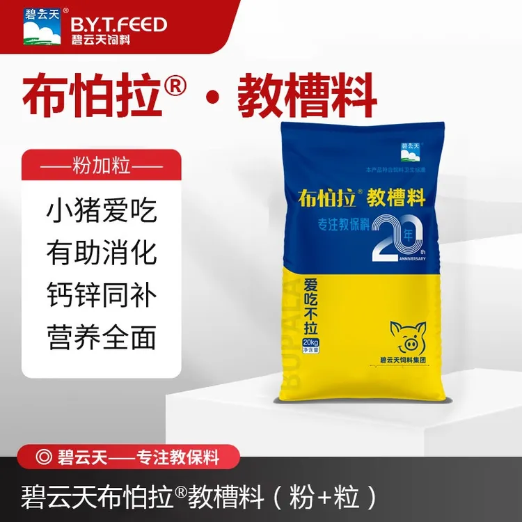升级款不怕拉教槽料鸽子