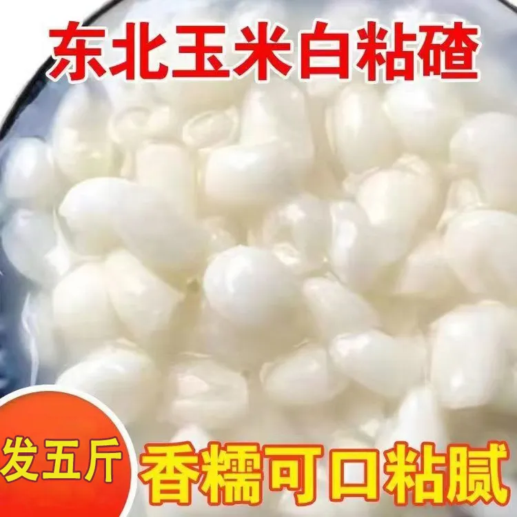 东北24年东北白粘玉米碴子香糯新米粗粮粗粮细作熬粥D