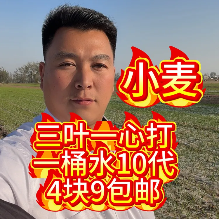 小麦三叶一心促分蘖氨基酸营养液