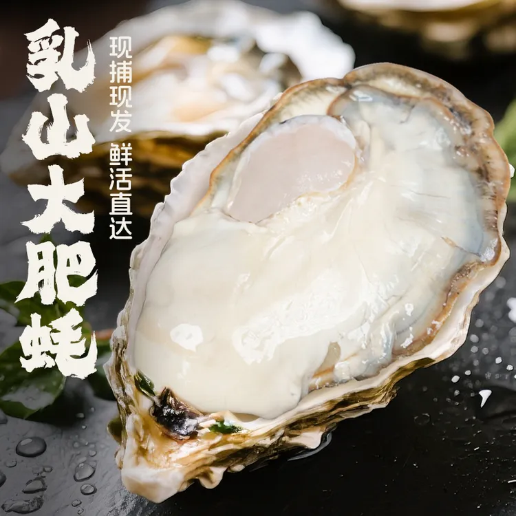 新鲜正宗乳山生蚝壳薄肉肥可蒸煮烤适合刺身的海鲜水产5/8斤王赛