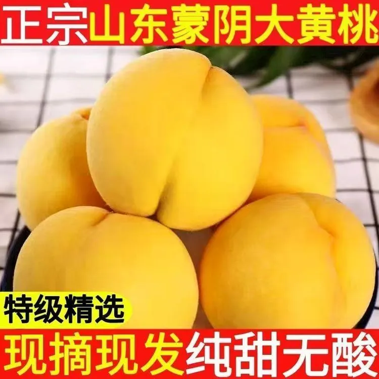 蒙阴锦绣黄桃新鲜现摘应季水果香甜多汁自然生一箱也是批发价