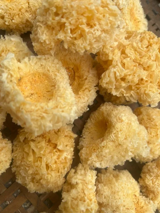 农家无硫小银耳250g500g软糯口感）