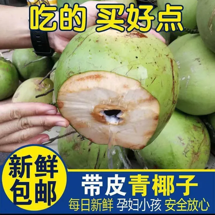 海南文昌椰青带皮新鲜现摘现发孕妇水果椰子纯天然椰汁水海南椰子