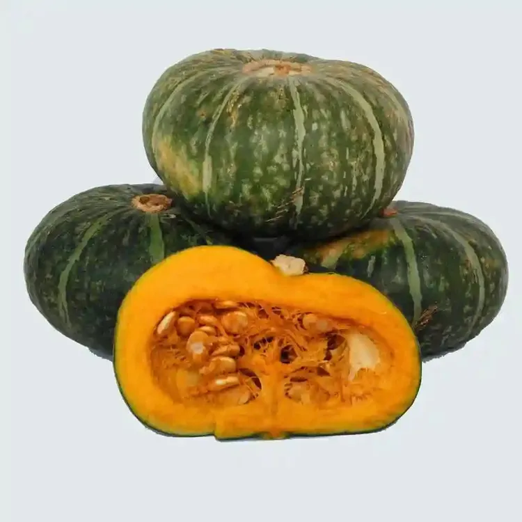 【顺丰包邮】东北农家小园窝瓜随机发新当季板栗味面甜糯可作宝辅食