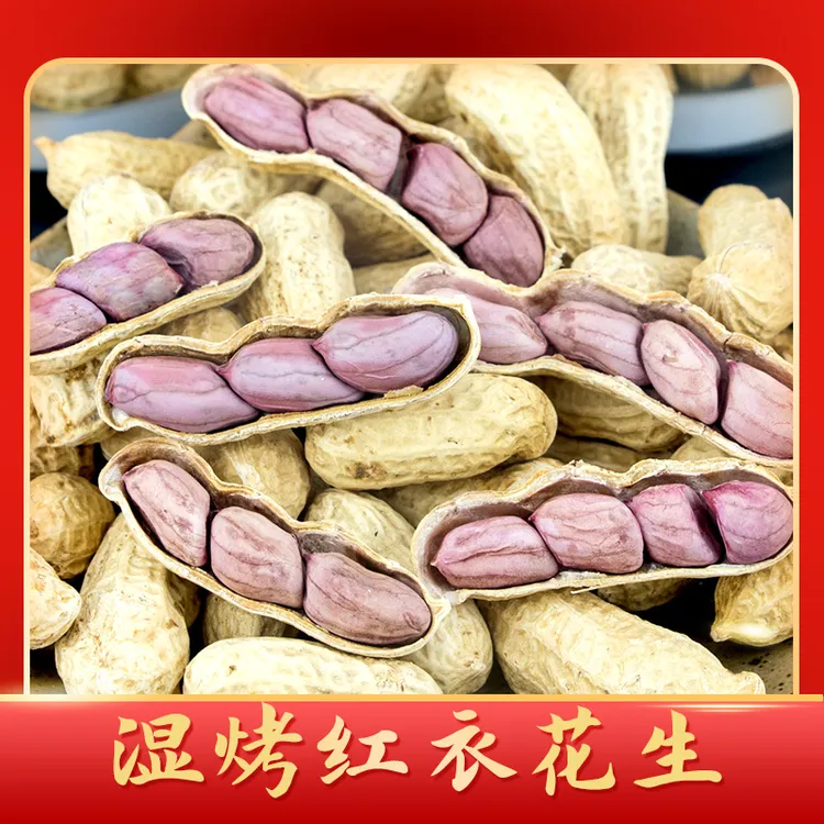 工厂直发正宗龙岩湿烤红衣紫衣花生五香蒜香味粒大好吃停不下来