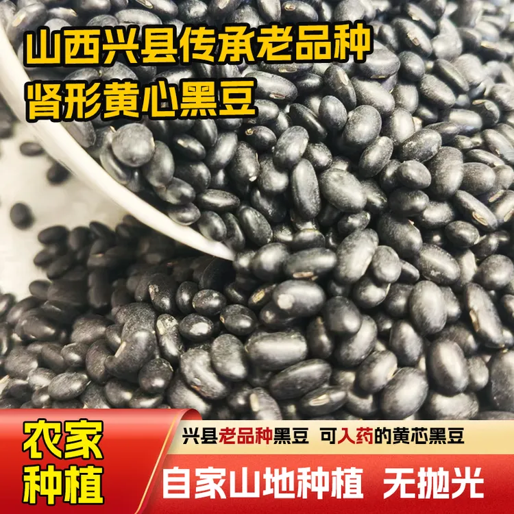 【中国杂粮之乡】肾形黑豆山西兴县循环留种笨黑豆 山地腰形小黑豆