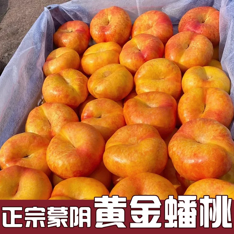 【顺丰快递】山东蒙阴彩虹油蟠桃爽口多汁新鲜黄桃脆甜孕妇水果2