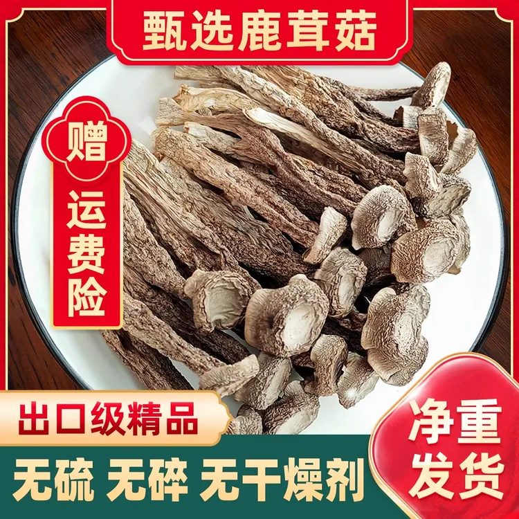 高山干货鹿茸菇无硫熏肥厚鲜嫩炖汤炒肉营养美味100%正品