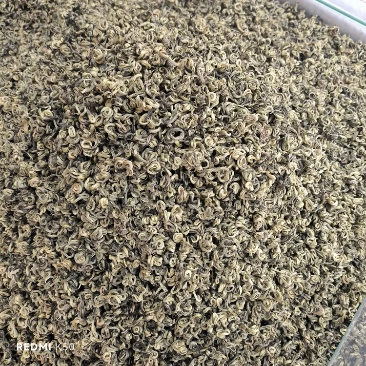 单芽云南绿茶高香玉螺，浓香耐泡滋味十足