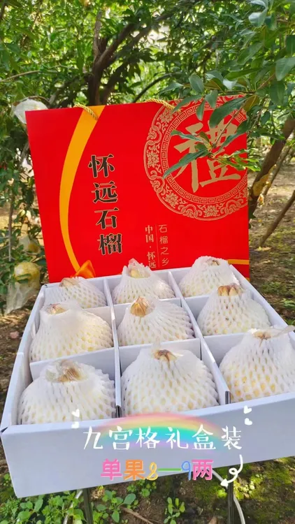怀远白石籽石榴新鲜采摘颗粒饱满晶莹剔透