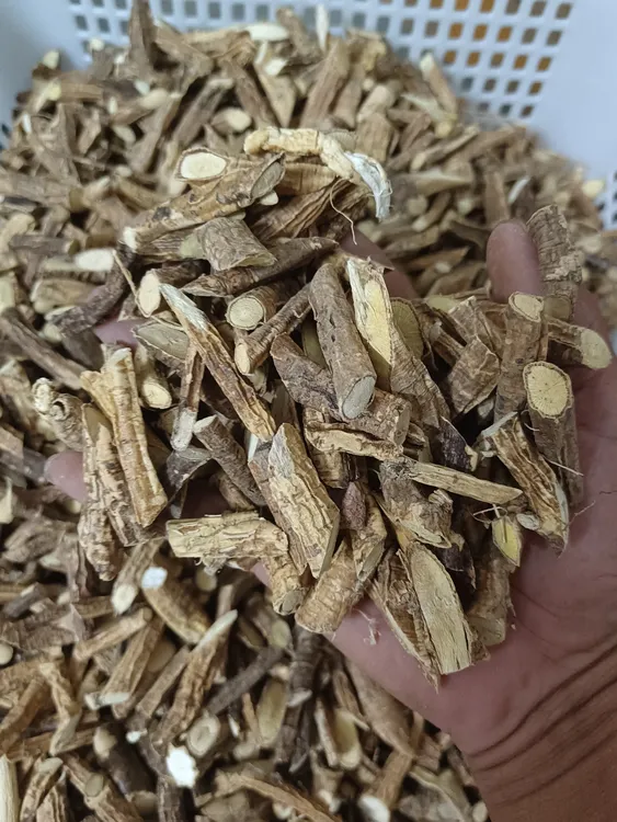 野生老黄牛根 干 切段 带皮