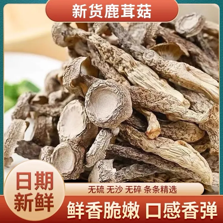 悠鲜说（22高山鹿茸菇）菇农自然晾晒鲜香脆爽口好吃还营养价值高