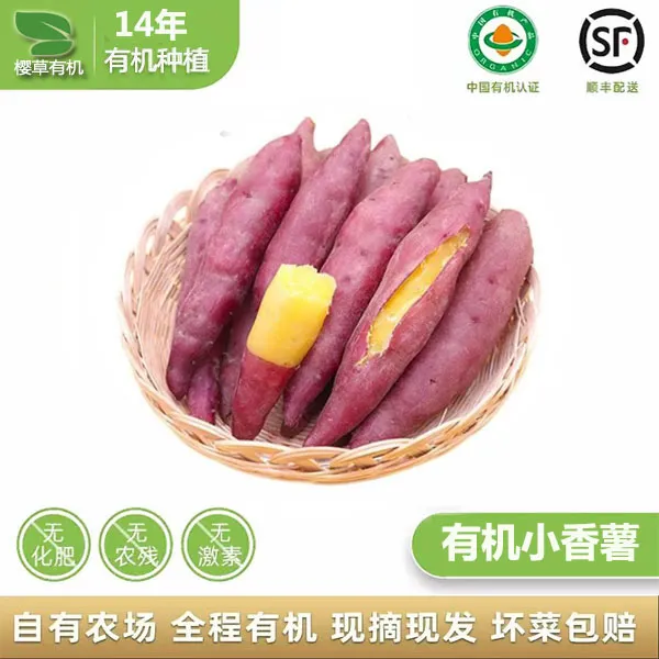 有机软糯红薯顺丰包邮正宗番薯有机地瓜正宗有机红薯