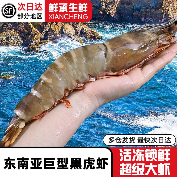 鲜承 特大黑虎虾生鲜虾类斑节对虾老虎虾 2-6斤多规格可选