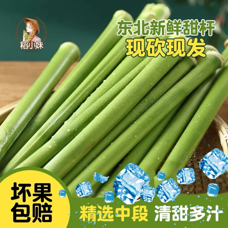新鲜东北甜杆甜芦粟甜高粱青皮小甘蔗孕妇水果现砍现发