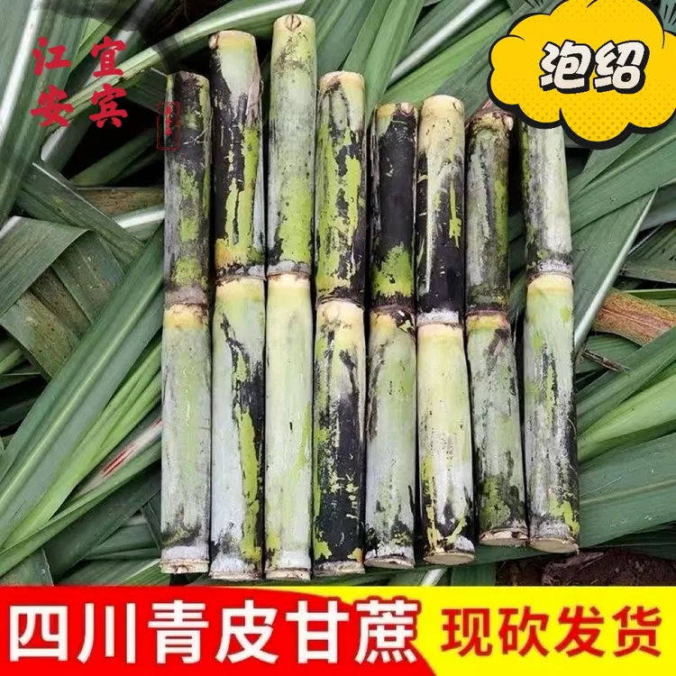 四川本地青皮甘蔗皮薄松脆泡绍清甜多汁农家自种应季水果