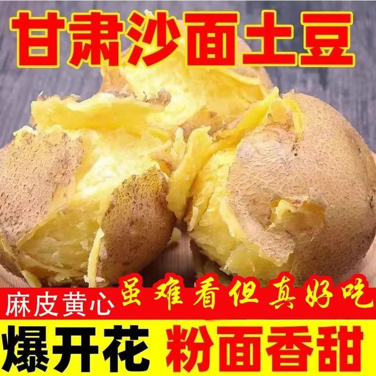 2025年甘肃定西高山土豆洋芋新鲜马铃薯旱沙地5斤面沙软糯