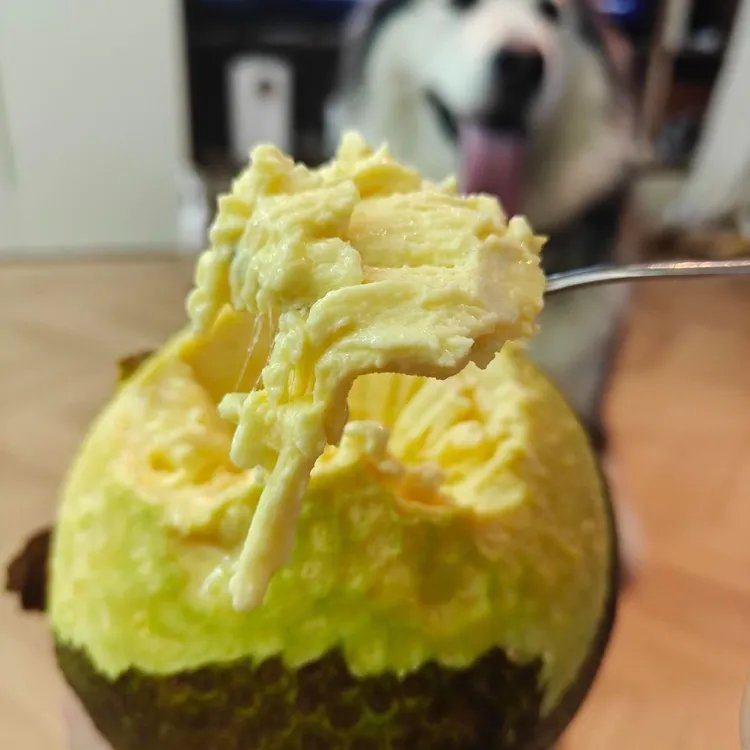 新鲜面包果  面包树果实 稀有水果蒸煮炸炒炖烤皆可