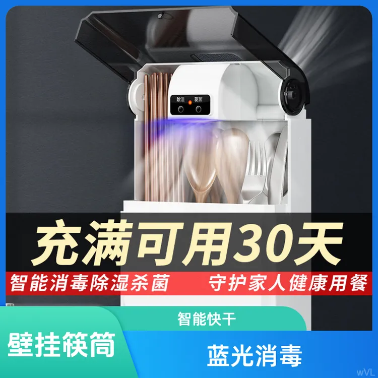 蓝光杀菌防潮防霉速干智能消毒筷子筒高档2025年新款