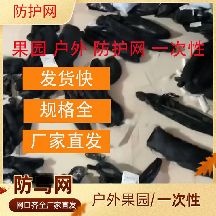 一次性防护网防护网果园防护网果树防护网大棚防护养殖网渔网