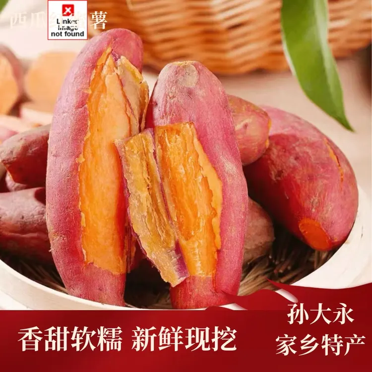 【孙大永红薯】2025新鲜现挖红薯 冰糖心哈密薯 西瓜红蜜薯  商薯19