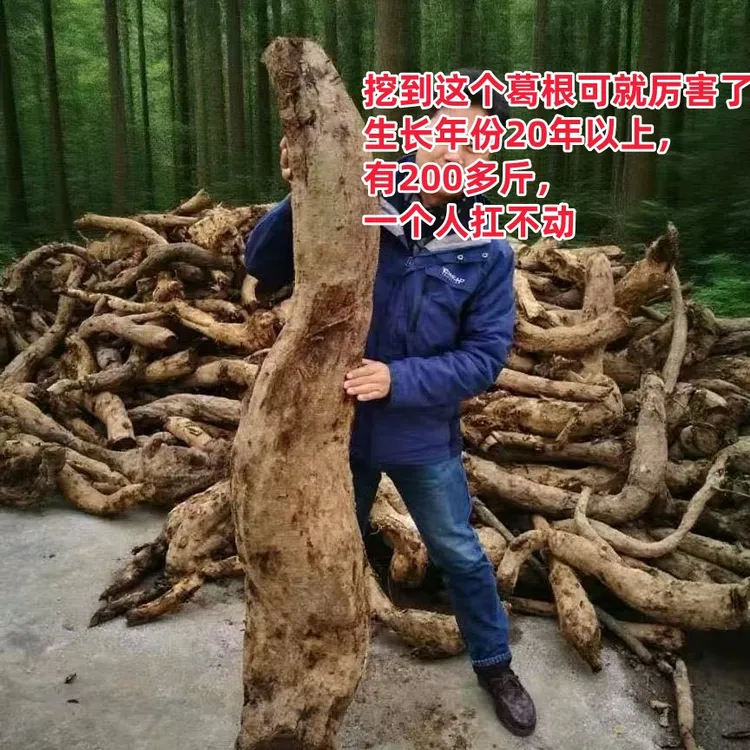 【乡野勇哥专属】大山野生葛根粉 买2发3瓶   农家深山特产