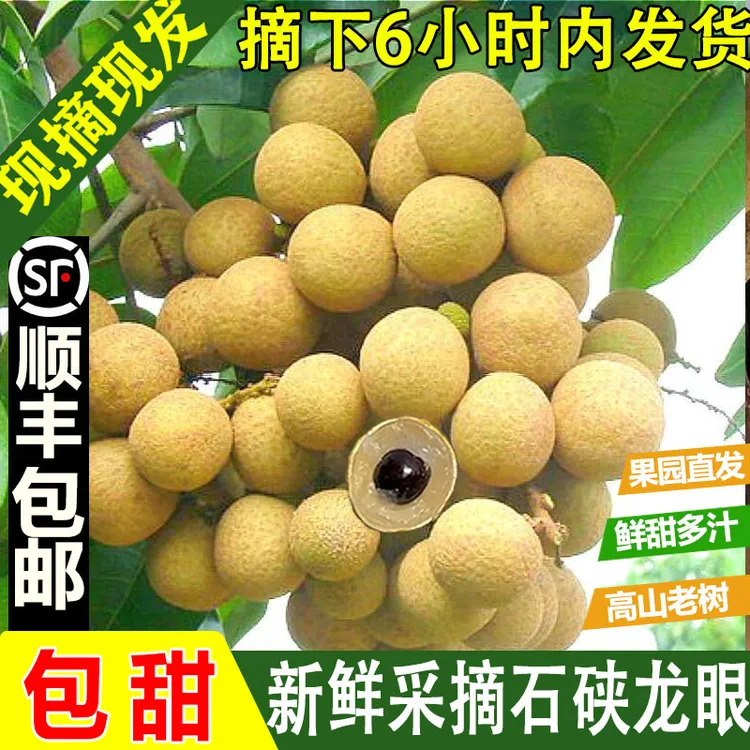 【顺丰包邮】广东茂名高州石硖龙眼当季新鲜桂圆现摘现发脆甜多汁