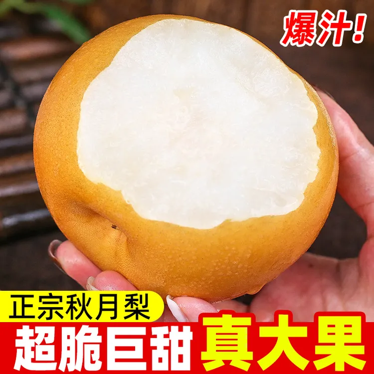 正宗秋月梨装新鲜水果脆甜梨子山东应季新鲜水果薄皮多汁整箱包邮