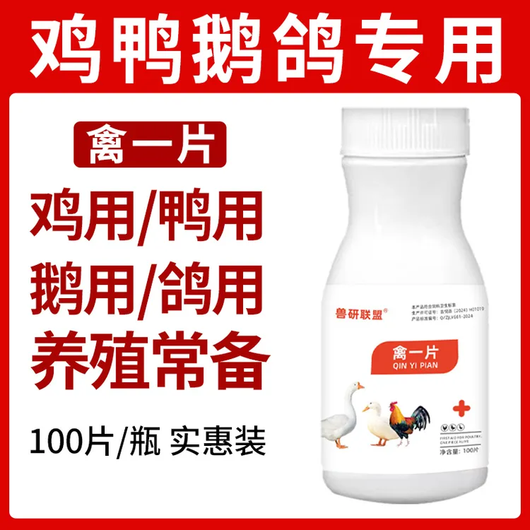 禽一片鸡鸭鹅鹌鹑鸽子养殖四季常备使用方便畜禽通用饲料添加剂