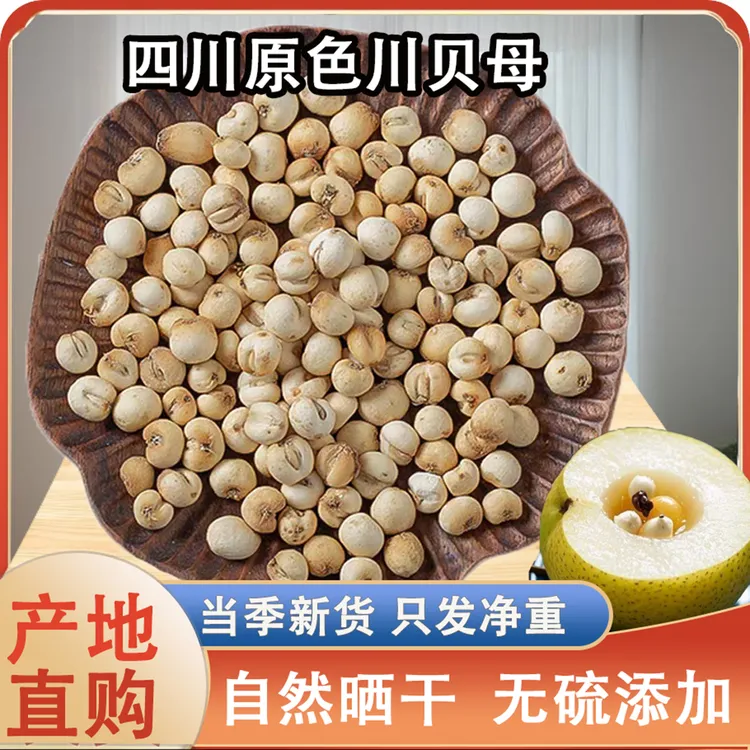 四川贝母干松贝阿坝原产地原色干货无硫贝母粉正品可炖雪梨