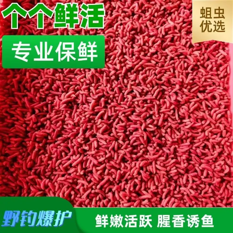 【拍1发2】野钓红蛆活饵料新鲜活蛆虫钓鲫鱼红虫石斑鱼马口白条溪